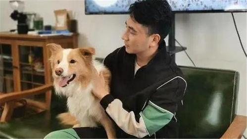 狗子爆料周冬雨视频播放,揭秘幕后故事 第3张 狗子爆料周冬雨视频播放,揭秘幕后故事 第3张